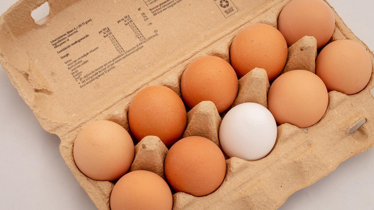 Eier-Frischetest: So erkennen Sie, ob ein Ei noch gut ist